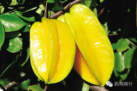 带你吃遍云霄美食,舌尖上的云霄