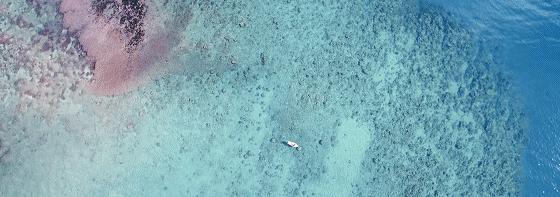 毛里求斯如何玩性价比高,毛里求斯什么东西比较便宜