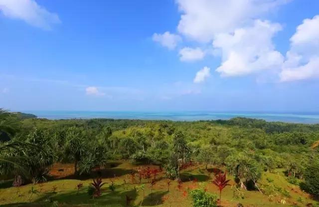 帕劳旅游吃住攻略,超强整理去帕劳不得不看的攻略