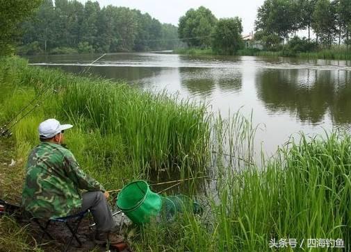 抓顿口调漂技巧图解,抓顿口最快的方法