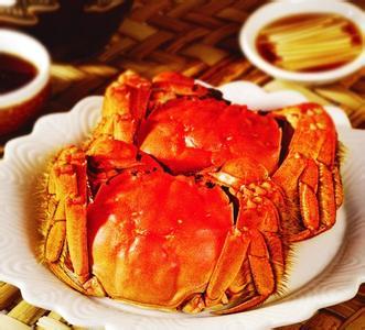 发家致富小农民,致富小农民