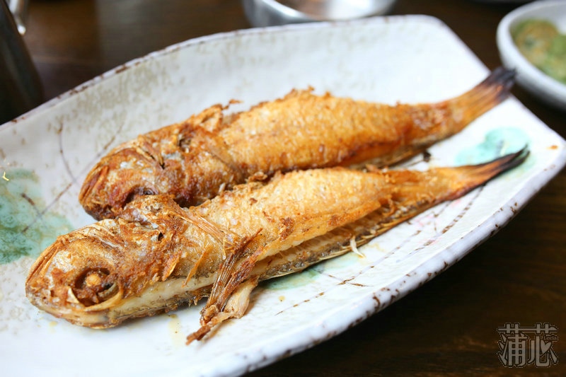 济州岛看枫叶,济州岛枫叶