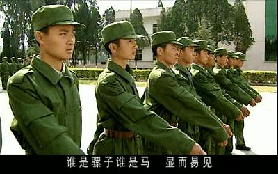 士兵突击视频片段,士兵突击骡子和马