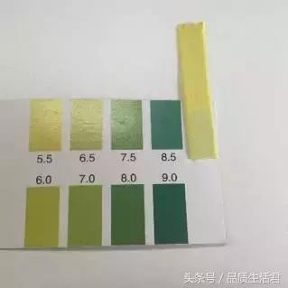 牙膏届的网红款到底怎么样？11款评测给你看