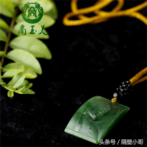 秦岭深处的瑰宝,秦岭奇珍异宝