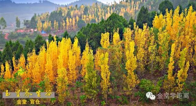 航拍金堂玉皇山,玉皇山登高金堂