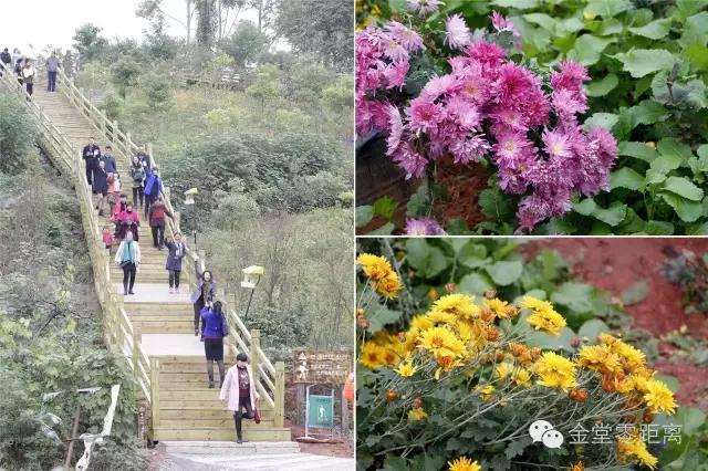 航拍金堂玉皇山,玉皇山登高金堂