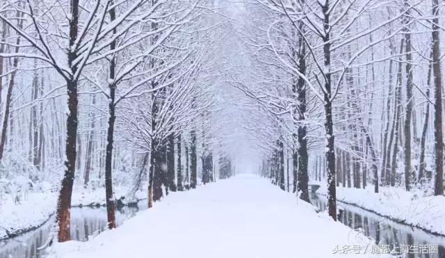 合肥哪下雪了,合肥一定要下雪吗