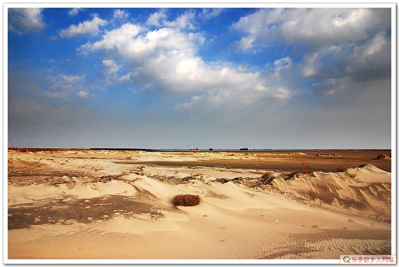 5年前的今天:初冬,如梦如幻的浅水湾(原乐亭辖区)