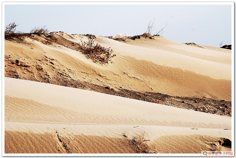 5年前的今天:初冬,如梦如幻的浅水湾(原乐亭辖区)