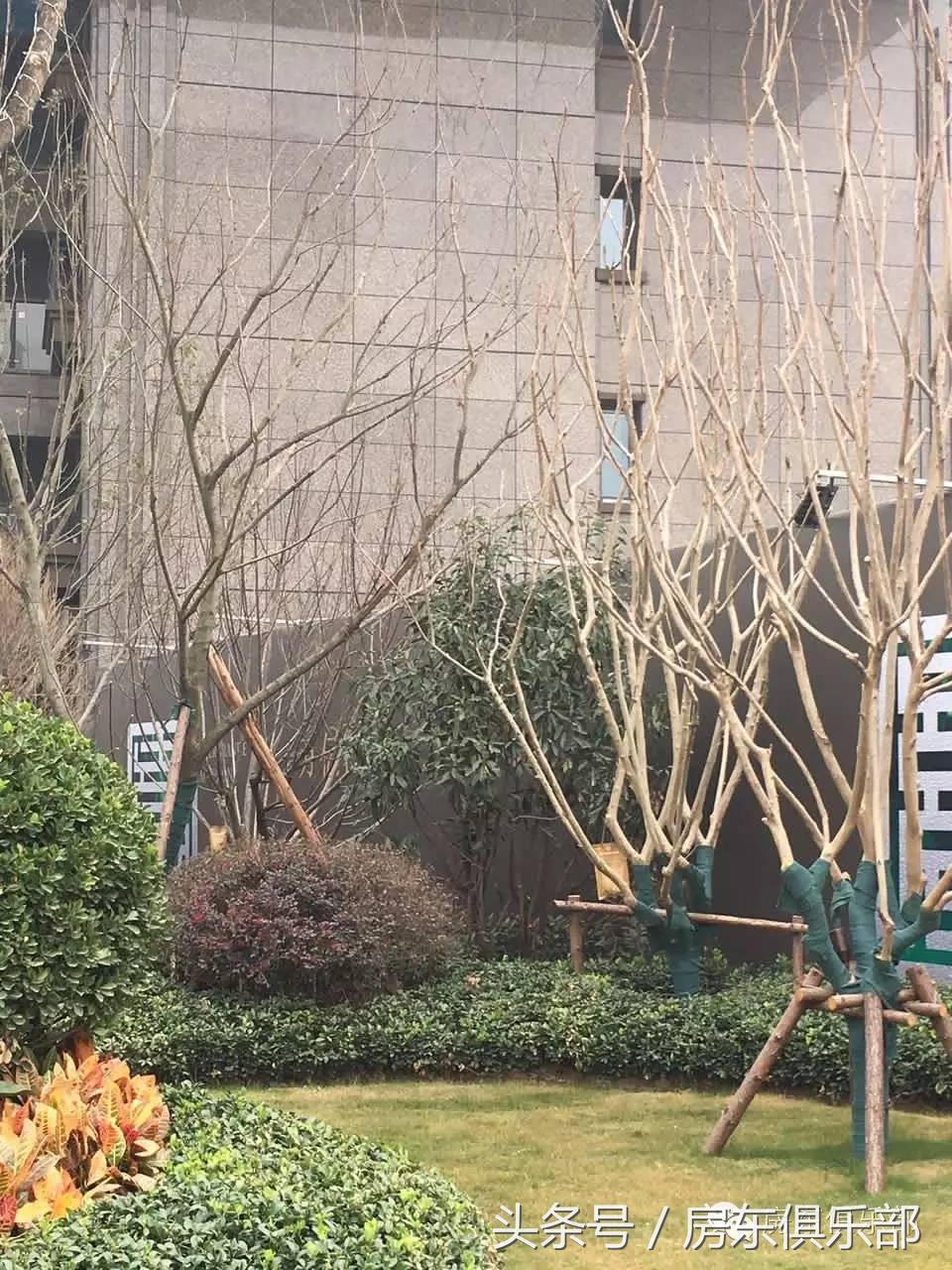 恒大悦龙台的房子值得购买吗,恒大悦龙台是毛坯还是精装