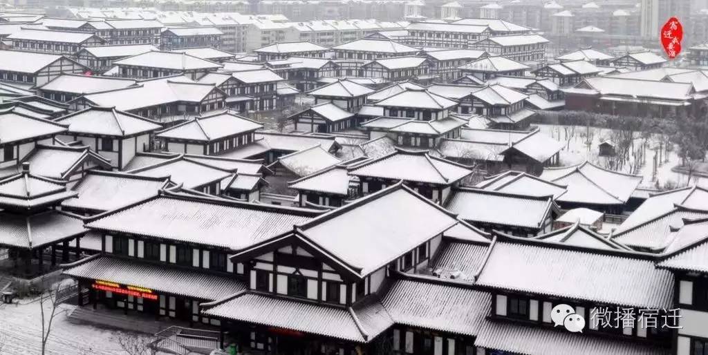 雪中宿迁,素颜都美到窒息!