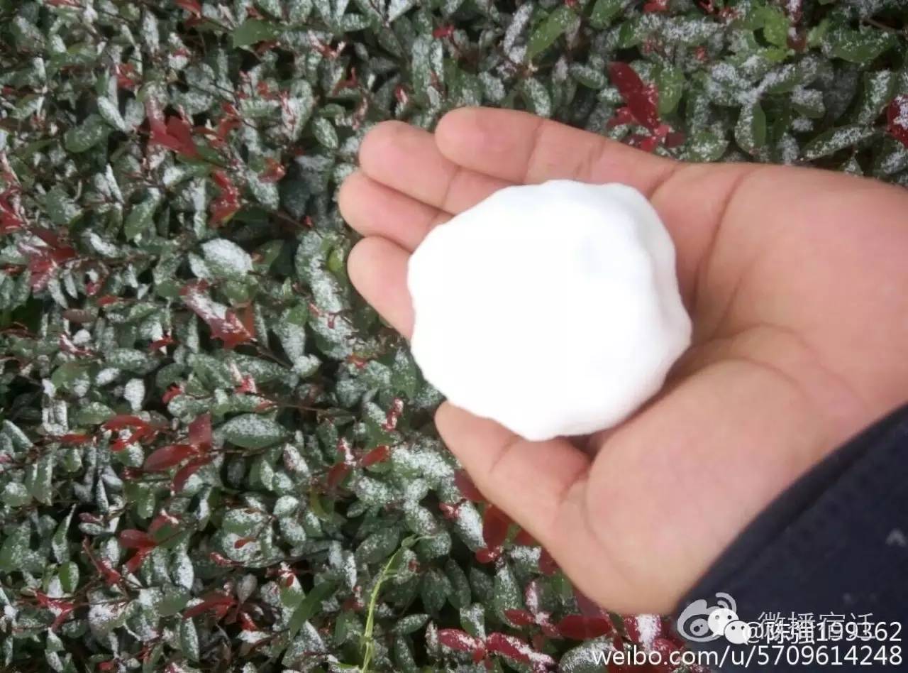 雪中宿迁,素颜都美到窒息!