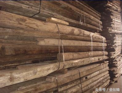 十大珍贵木材之金丝楠木,中国古老的三棵金丝楠木