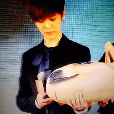 鹿晗被小学生跟拍,鹿晗人气现场吓到明星们