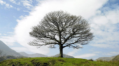 小米vr必须戴眼镜吗,小米vr眼镜支持小米13吗