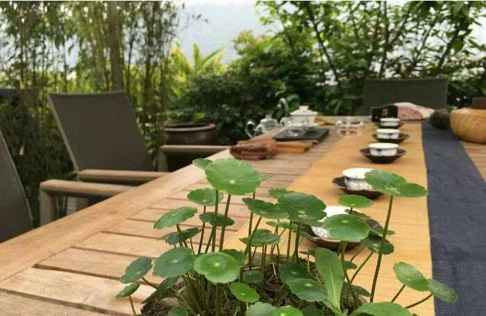 周末时光尽享美食与好茶,周末吃美食和风景不可辜负