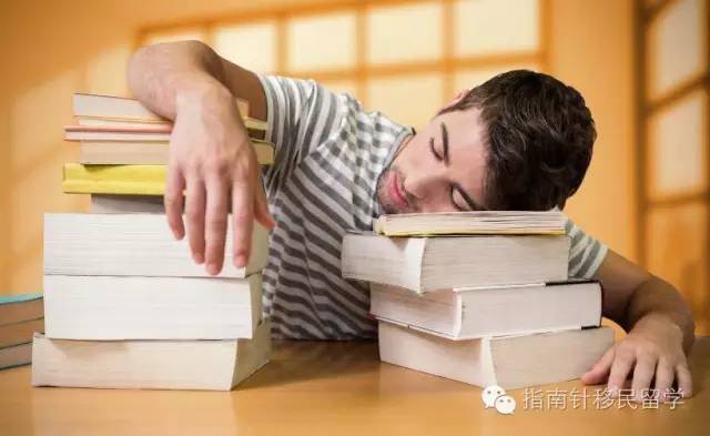 鍚勫浗鐣欏鐢熶紭鍔垮拰鍔e娍,鍚勫浗鐣欏鐢熺浉浜蹭笌鐩哥埍