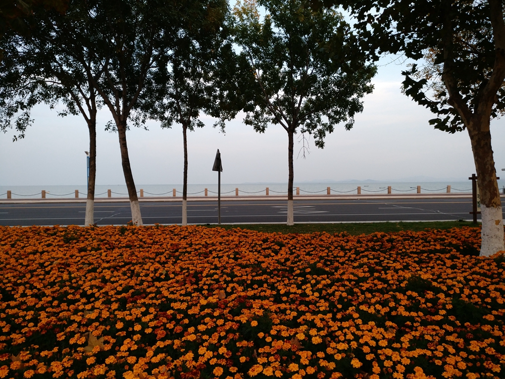 乐视乐pro3双摄ai版手机,乐pro3和乐视2哪个好