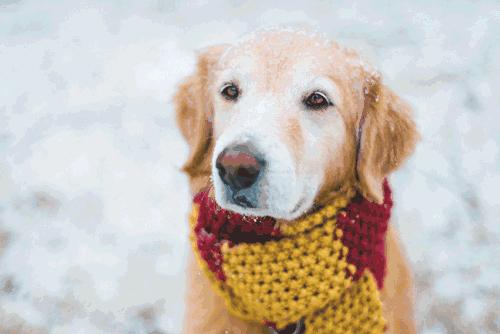 浅草绿针织衫如何搭配,春季针织衫好物推荐