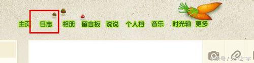 qq空间回收站的照片删除怎么恢复,qq空间回收站在哪显示没开通