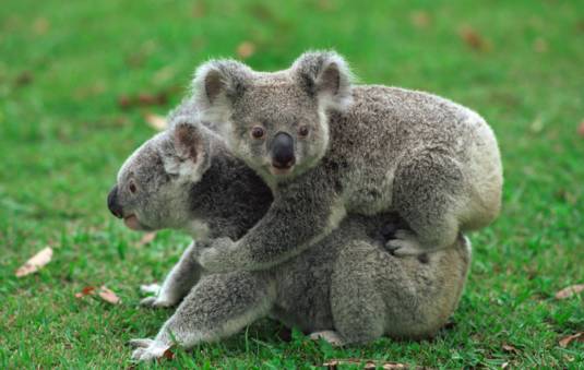 2021年济南薪资水平报告,济南工资一般是多少