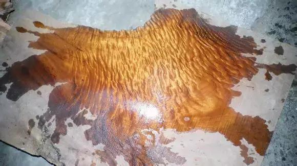 金丝楠木四大名树,金丝楠属于什么木类