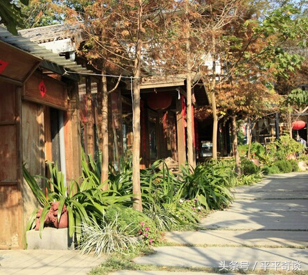 屠夫信佛，不忍宰杀流泪老黄牛，屠夫遇难，老黄牛自杀报恩！