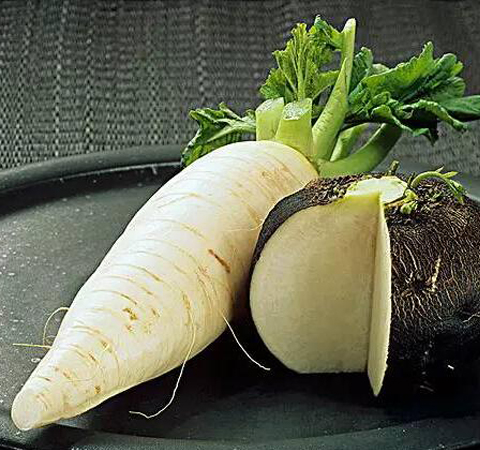 偏头痛偏方治疗的小视频,偏头痛偏方大全中医