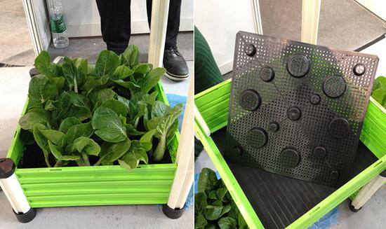 实用年货|今年让自家爷爷也时髦