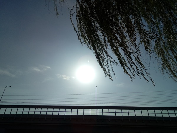 小辣椒x7拆机,小辣椒X7什么样的