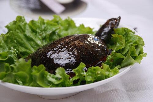 孕妇能吃甲鱼吗有什么好处,公鳖和母鳖哪个营养价值高