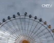 电影不是我干的,这事真不是我干的