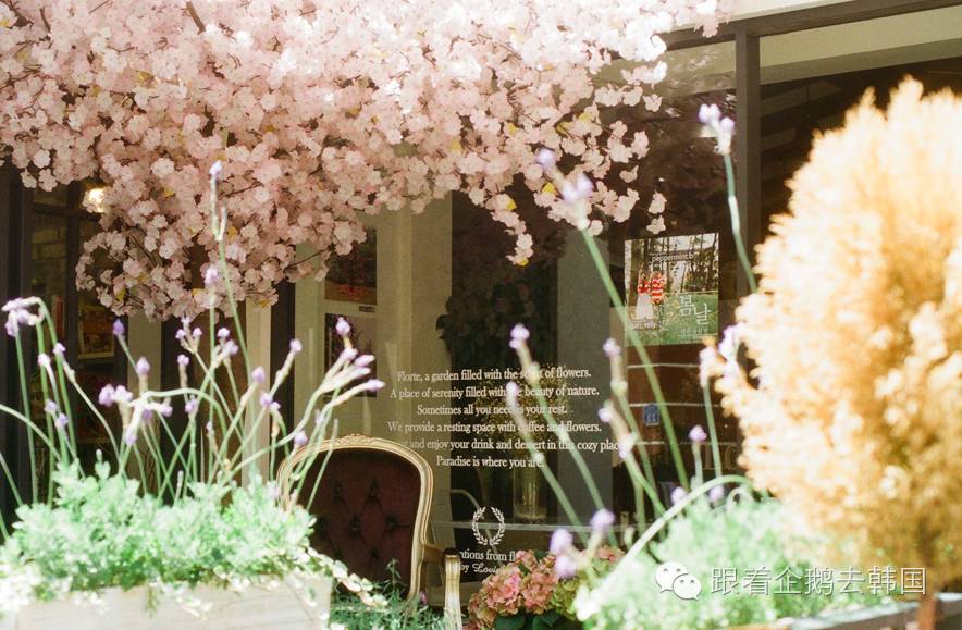 少女心大爆炸!首尔弘大这家Café好看得一塌糊涂