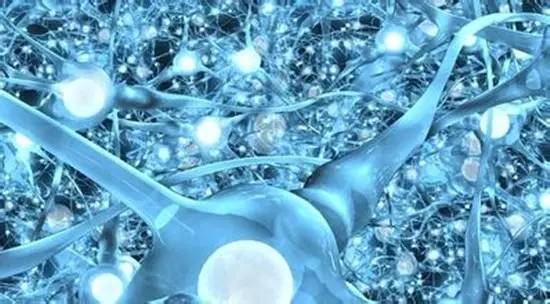 与浪潮信息合作的大公司,和浪潮有合作的公司