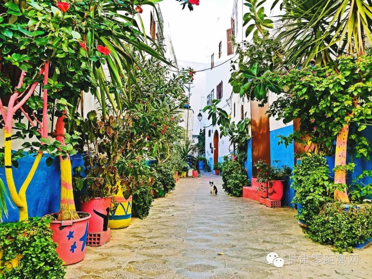 随丫头游北非之十一|童话古城-艾西拉麦地那摩洛哥首都-拉巴特