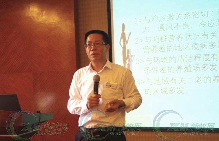 鸡鼻炎怎么预防,烦人的鼻炎怎么调理