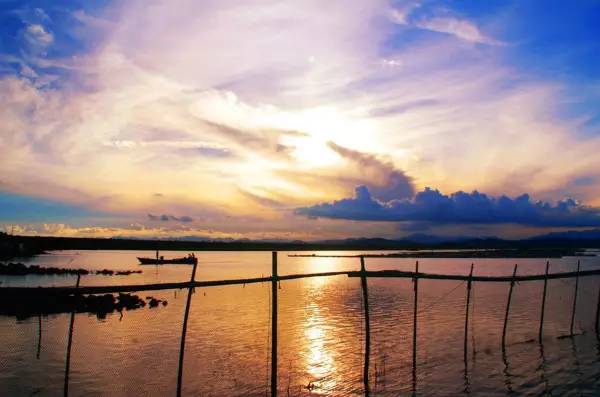 时已立冬，浙些美景再错过就要等明年了！