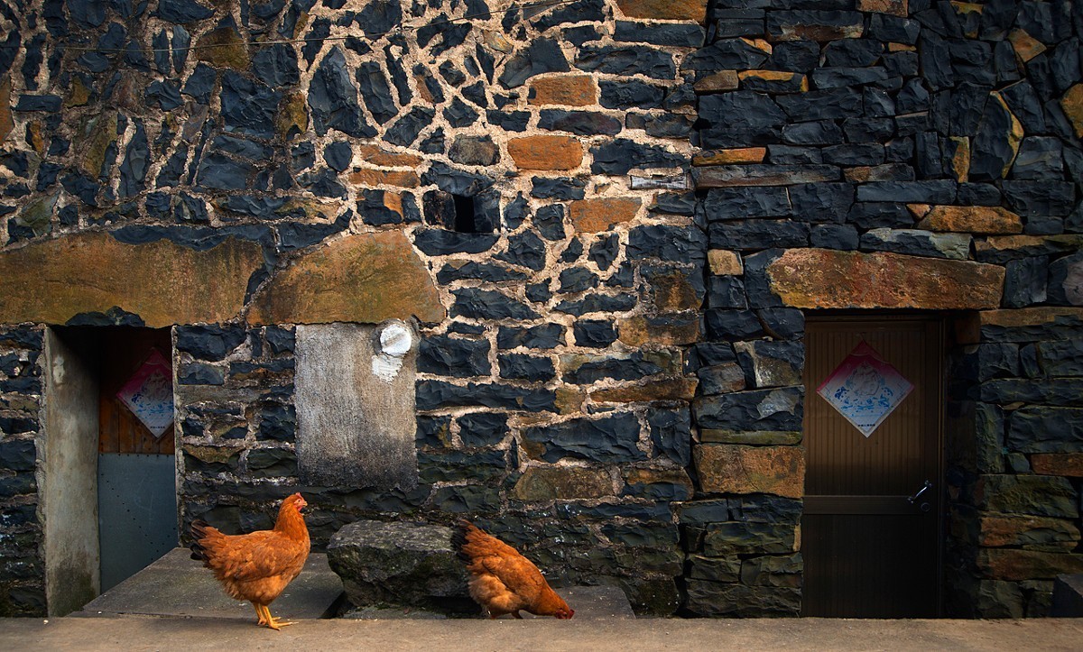 时已立冬，浙些美景再错过就要等明年了！