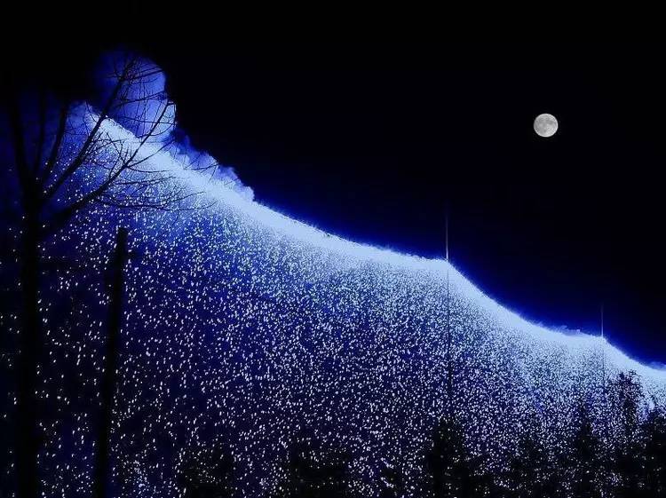 「诗词鉴赏」看冬日圆月赏最美诗词