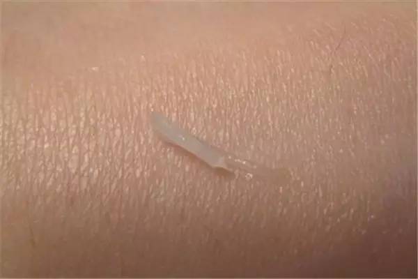 唇膏爆款榜排名第一,品牌不掉色润唇膏网红爆款排行