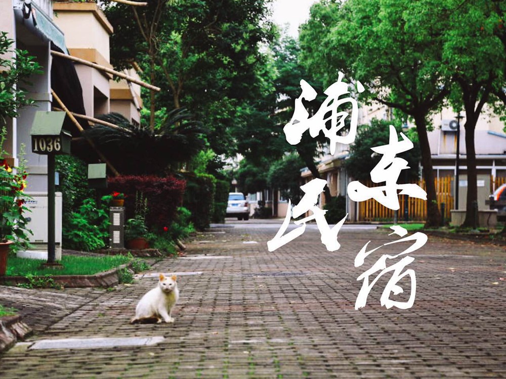 上海民宿100元左右,上海浦东民宿2个人100元以内