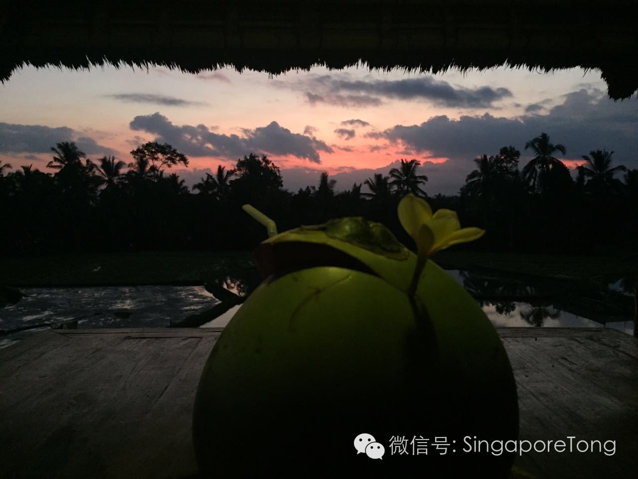 新加坡巴厘岛旅游视频,新加坡攻略吐血版