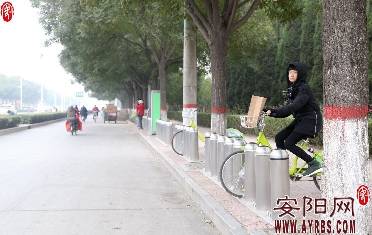 安阳市实行机动车单双号限行,安阳市2022年汽车单双号限行