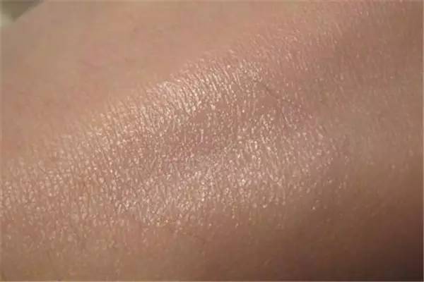 唇膏爆款榜排名第一,品牌不掉色润唇膏网红爆款排行