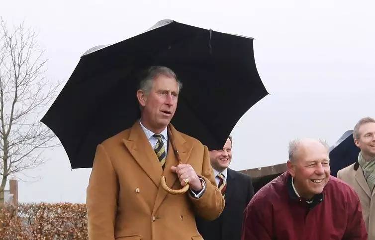 良仓设计,良仓好物推荐