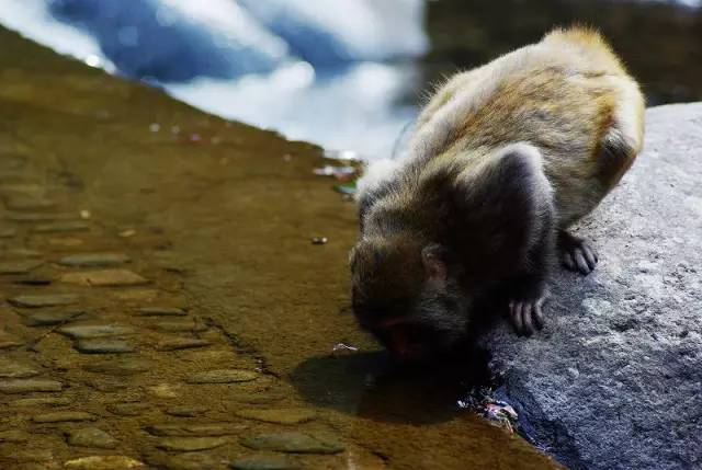 秒杀旅行第二弹|11个爆款脱单地，剁手价￥11诗画浙江任你游！