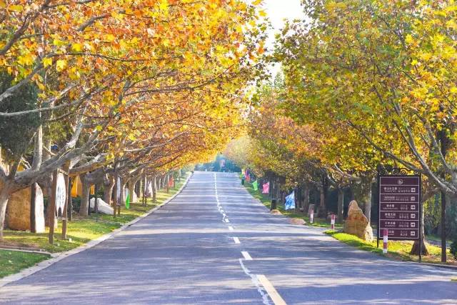 山东烟台龙口南山风景区攻略,烟台南山龙口游记