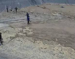 罗非鱼四川过冬的方法,浙江罗非鱼能过冬吗