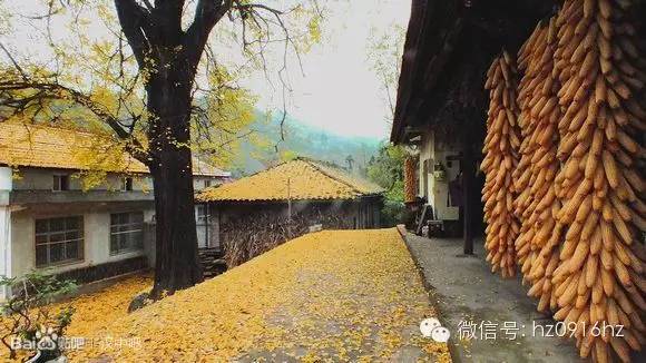 汉中最可怕的地方,汉中这座城市怎么样